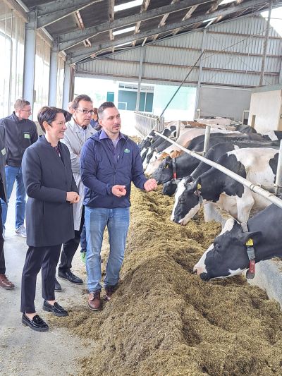 Milchwirtschaft der Zukunft: Arla Innovationshof eingeweiht